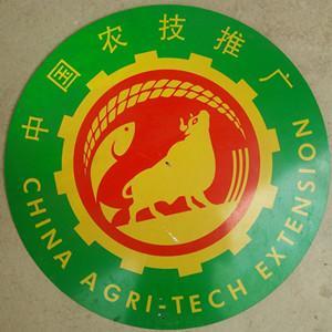 深耕田野，科技興農(nóng)——記靈山縣沙坪鎮(zhèn)農(nóng)業(yè)技術推廣站服務隊