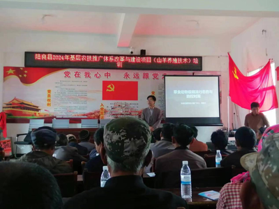激發(fā)基層活力 陸良縣2024年農(nóng)技推廣體系改革與建設項目培訓在龍海鄉(xiāng)拉開帷幕